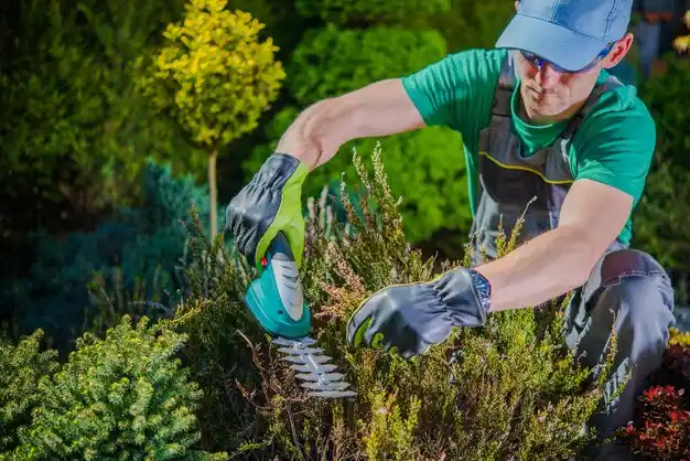 landscaping services Agency